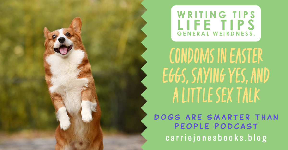best funny podcast DOGS ARE SMARTER THAN PEOPLE