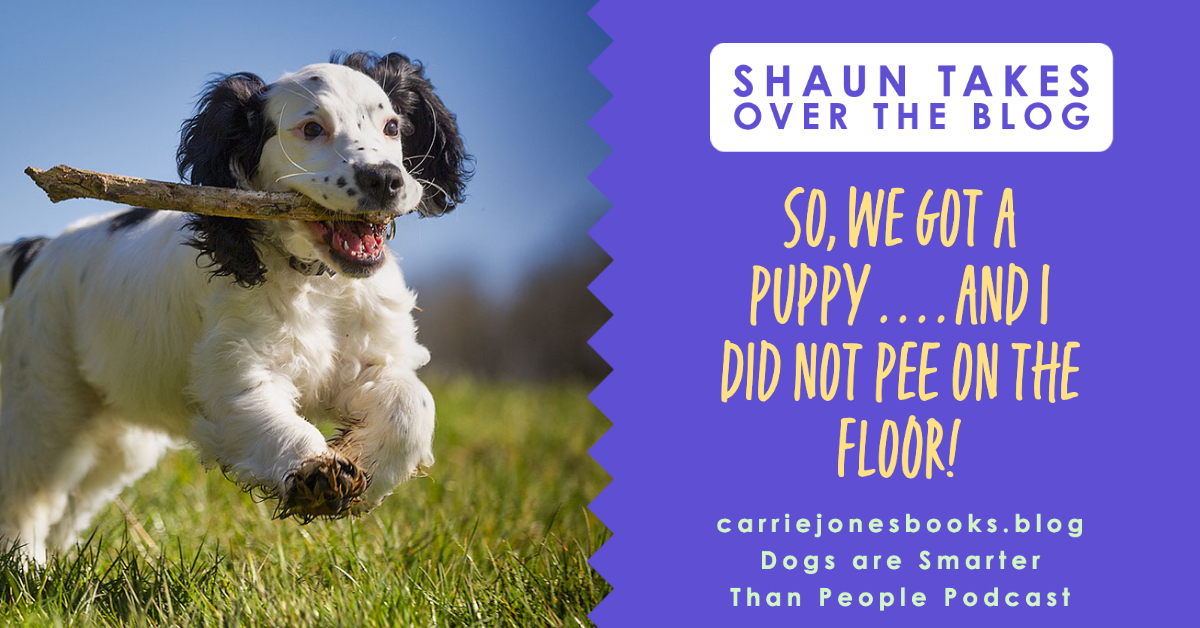 best writing coach carrie jones