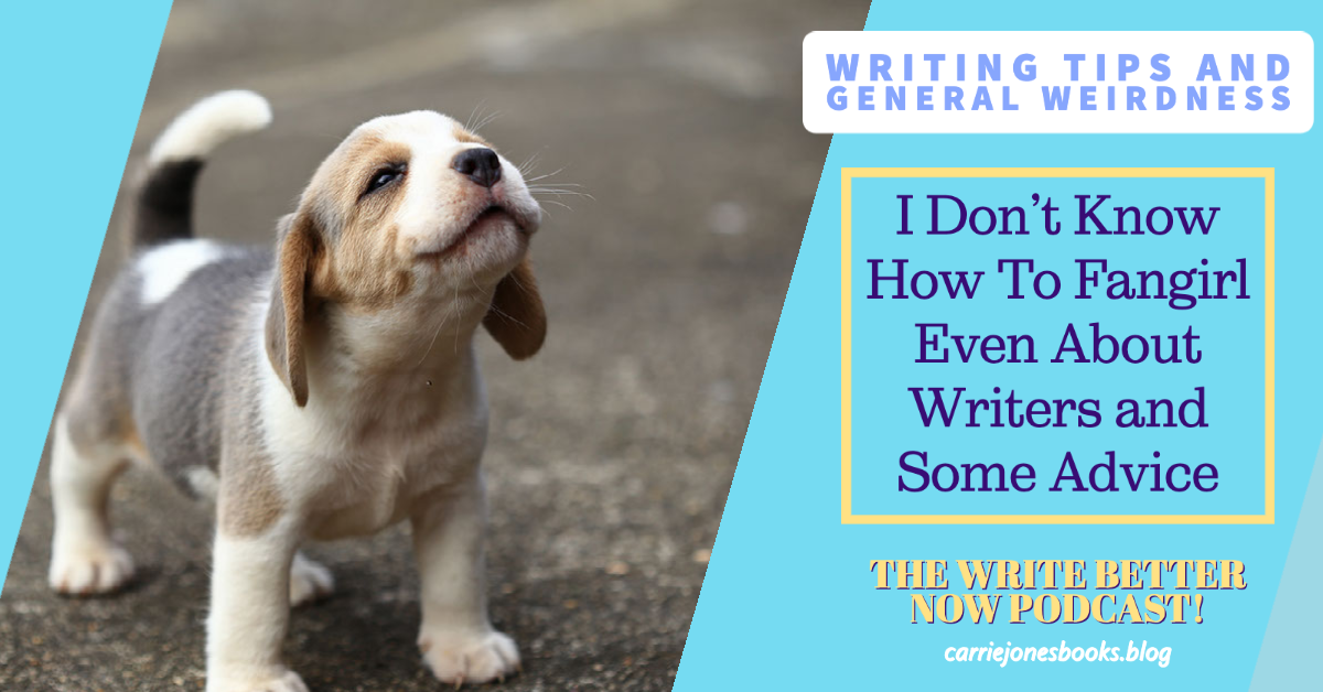 I Don't Know How To Fangirl Even About Writers and Some Advice