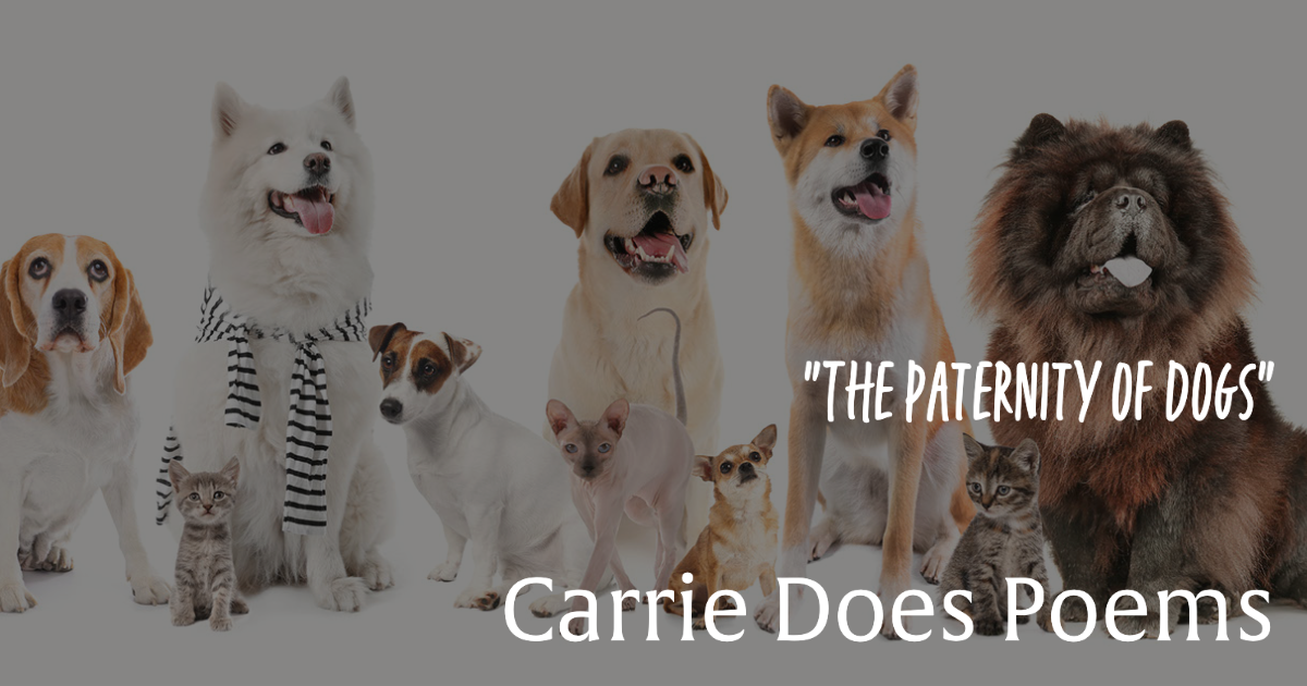 best poetry podcast carrie does poems