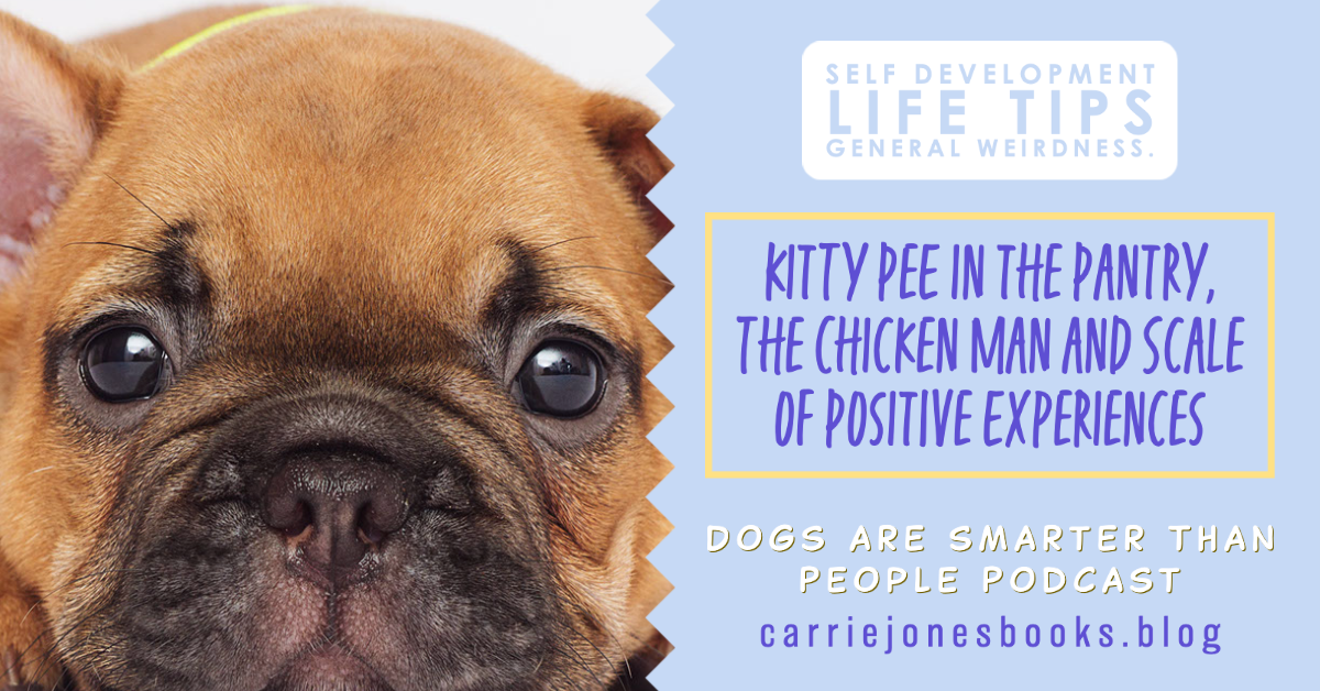 best self improvement podcast funny