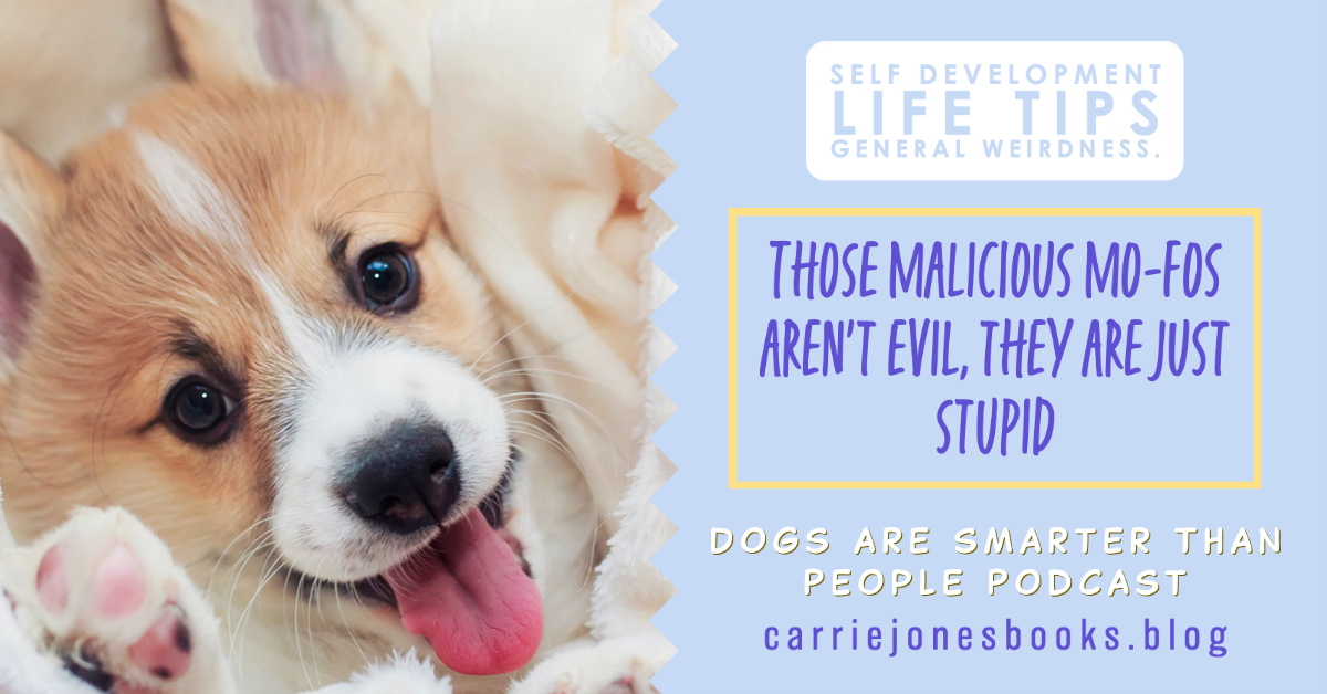 Those malicious mo-fos aren’t evil, they are just stupid