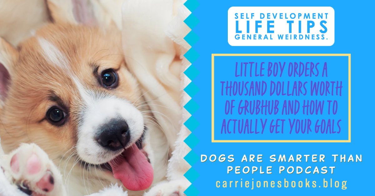 best funny self improvement podcast Dogs are Smarter Than People