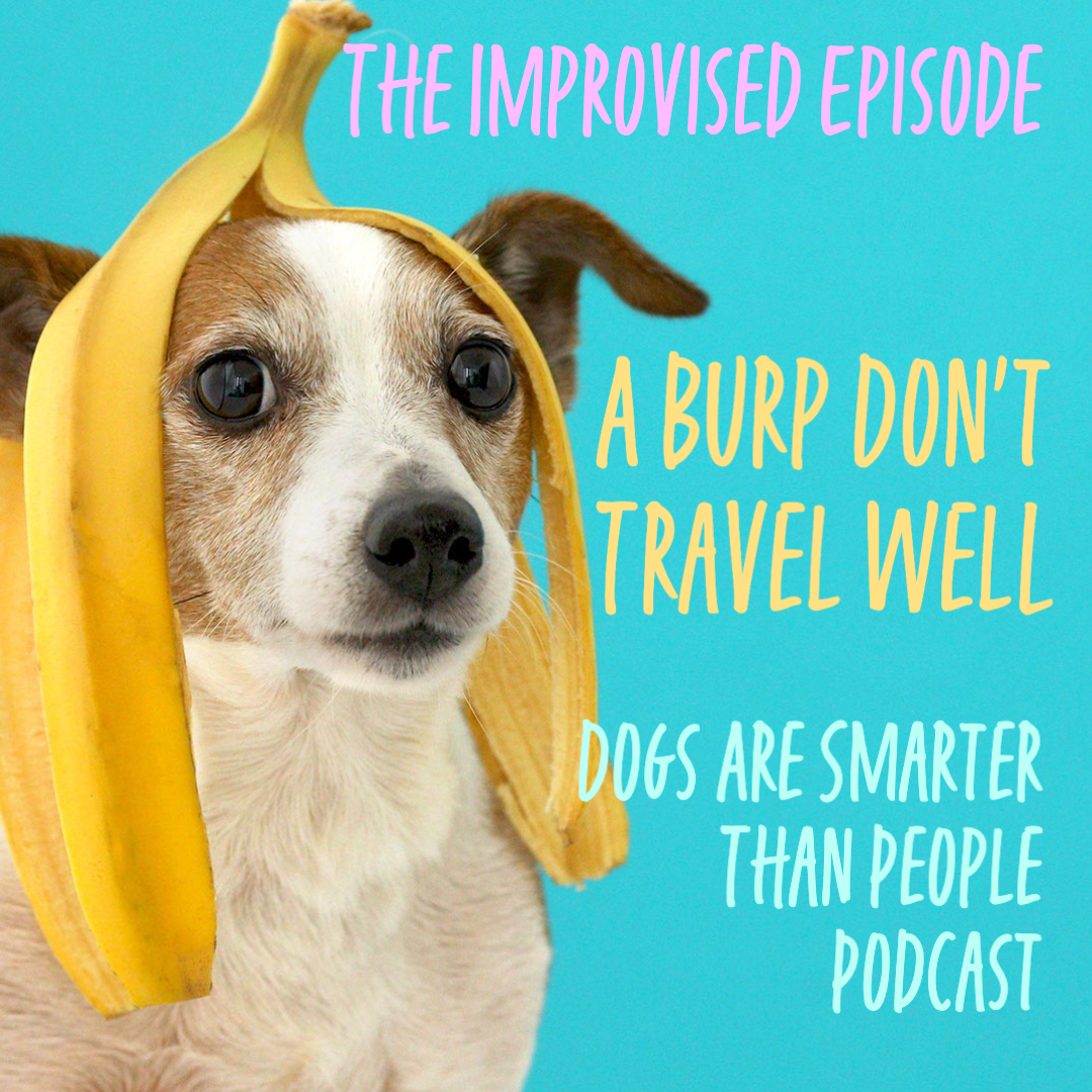 best random podcast dogs are smarter than people