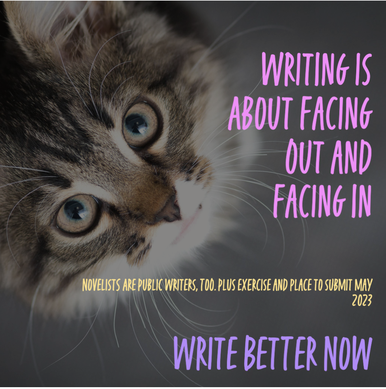 best writing coach and editor Carrie Jones