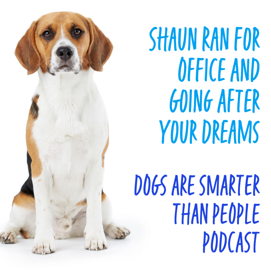 Shaun Ran For Office And Going After Your Dreams