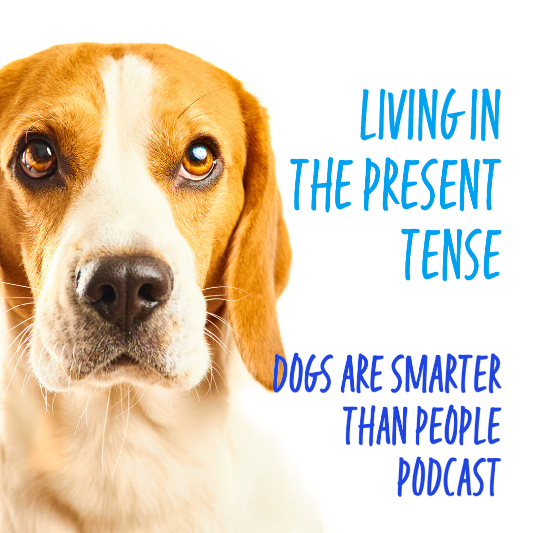 best podcast ever
