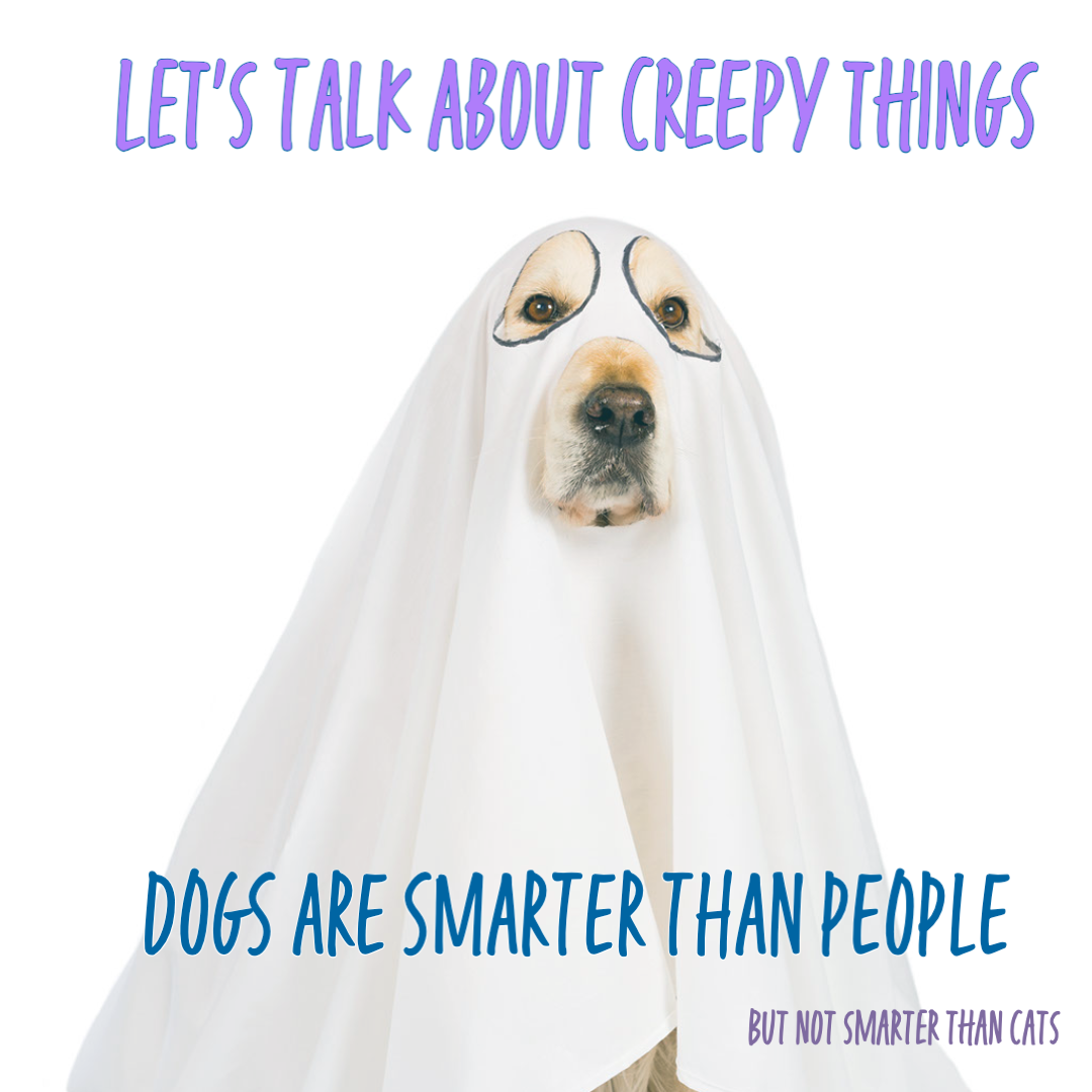 BEST PODCAST EVER- dogs are smarter than people