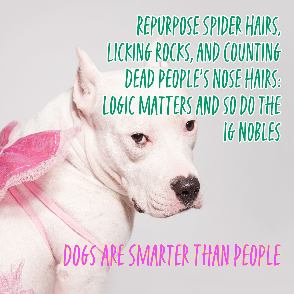 Repurposing Spider Hairs Licking Rocks and Counting Dead People's Nose Hairs: Logic Matters and so do the Ig Nobles