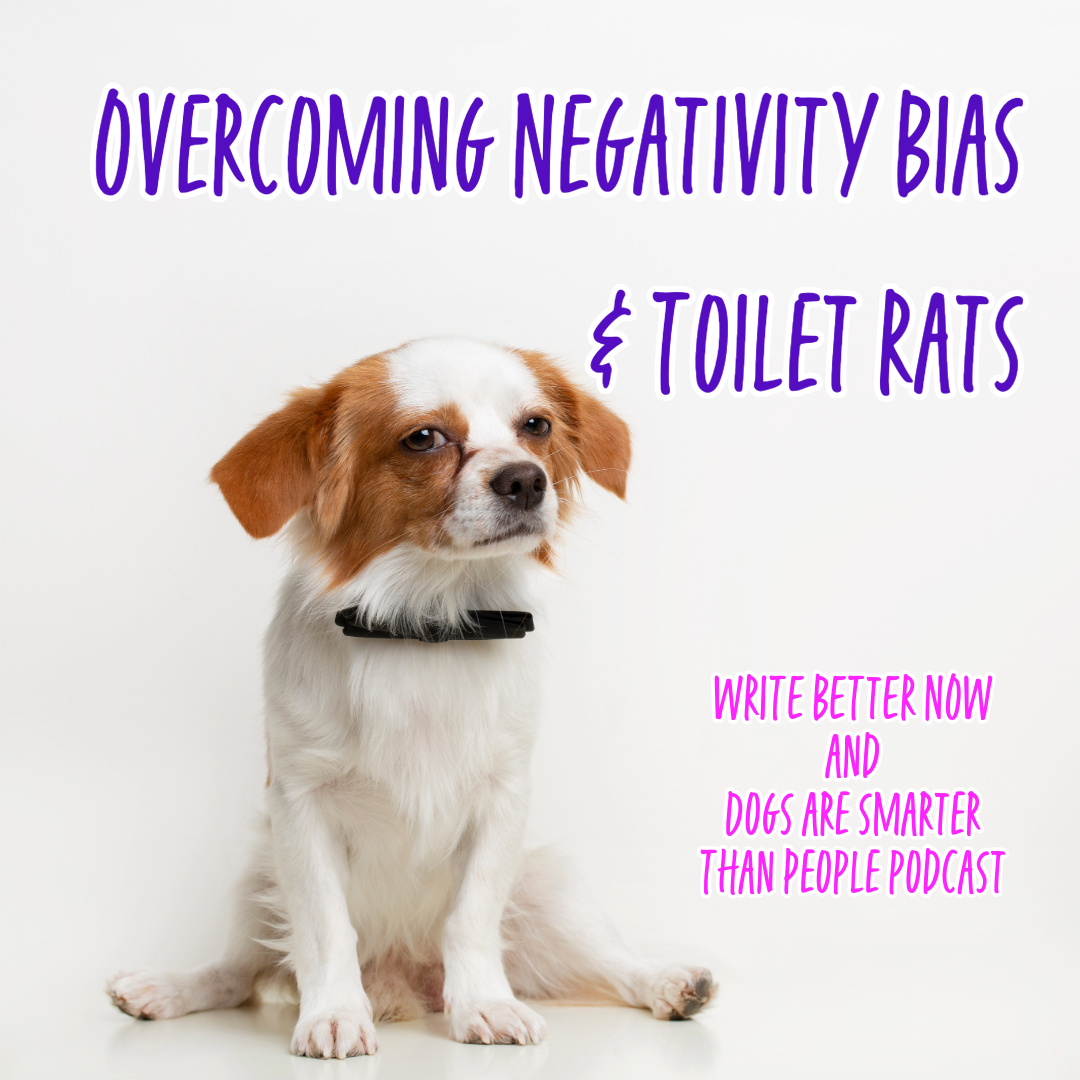 Overcoming Negativity Bias & Toilet Rats