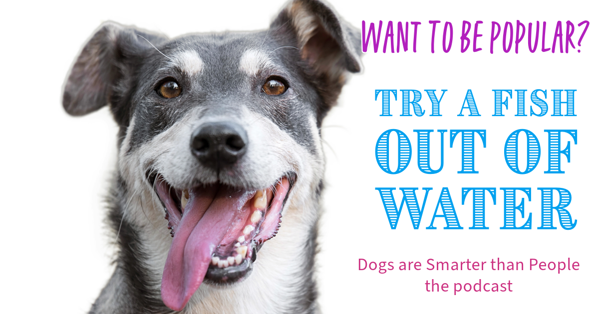 Want to be popular? Try a fish out of water