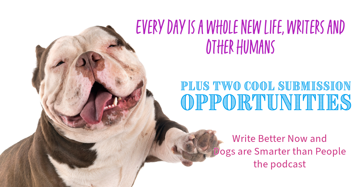 Every Day Is a Whole New Life, Writers and Other Humans